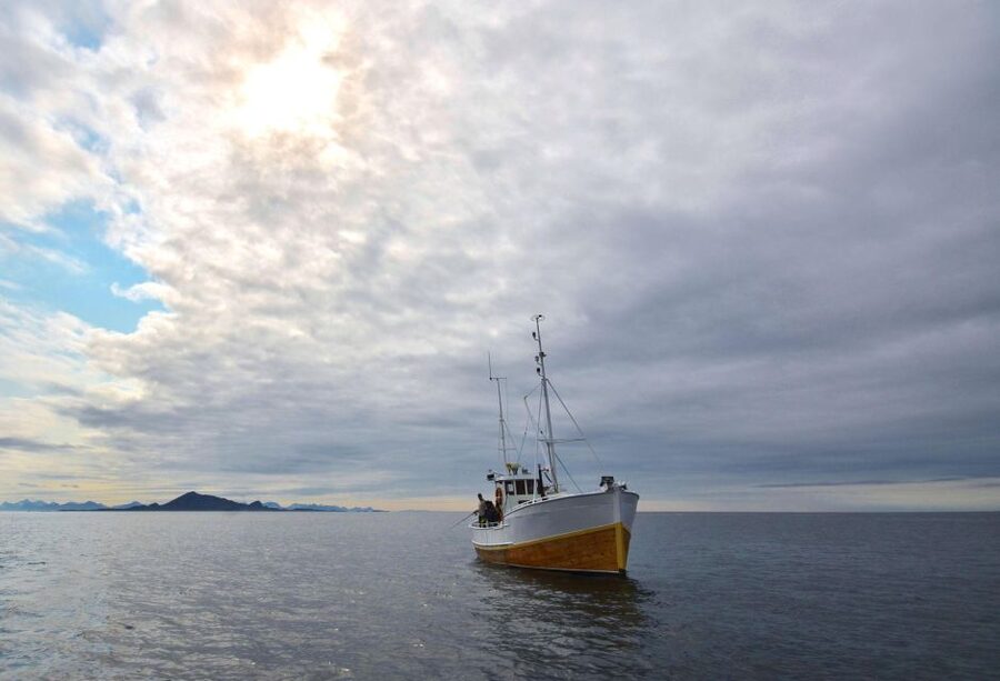 Svolvær: Fishing Trip on the Lofoten Sea - What you might catch in three hours