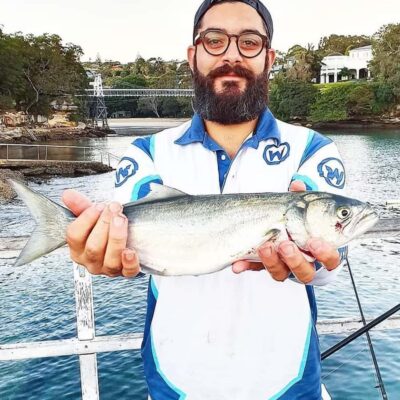 Sydney: Onshore Fishing Experience with Equipment