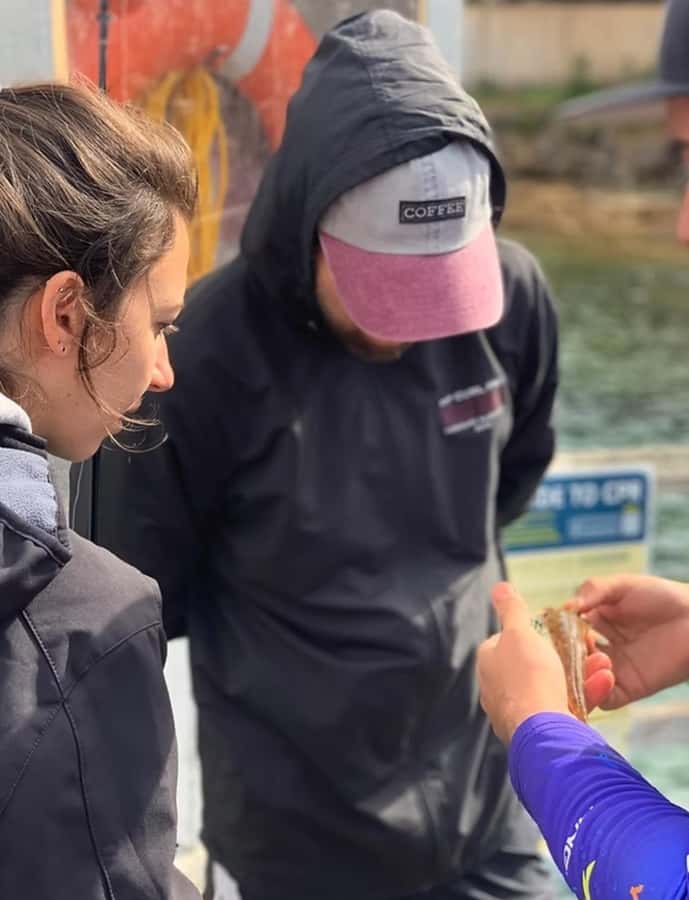 Sydney: Onshore Fishing Experience with Equipment - A private session with a friendly social feel