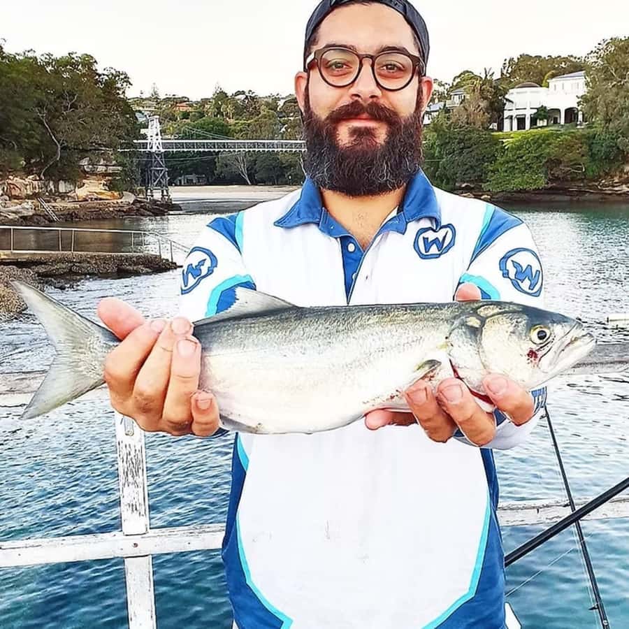 Sydney: Onshore Fishing Experience with Equipment - Rods, tackle, and bait keep the planning simple