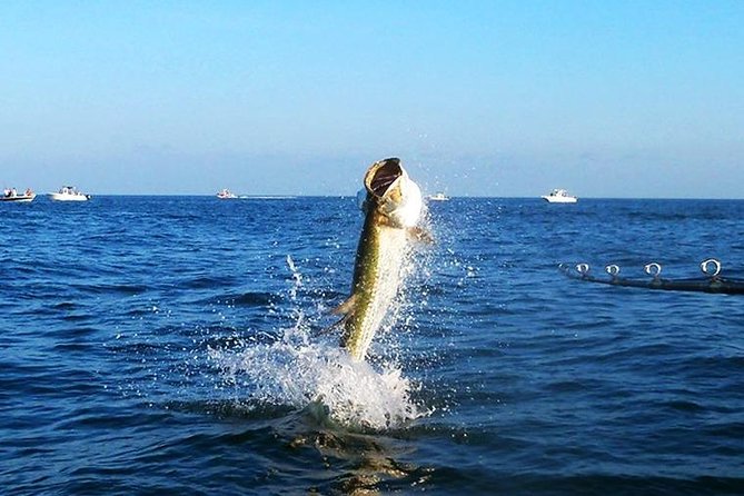 Tampa Bay Inshore Fishing Charters - A possible state park stop by water