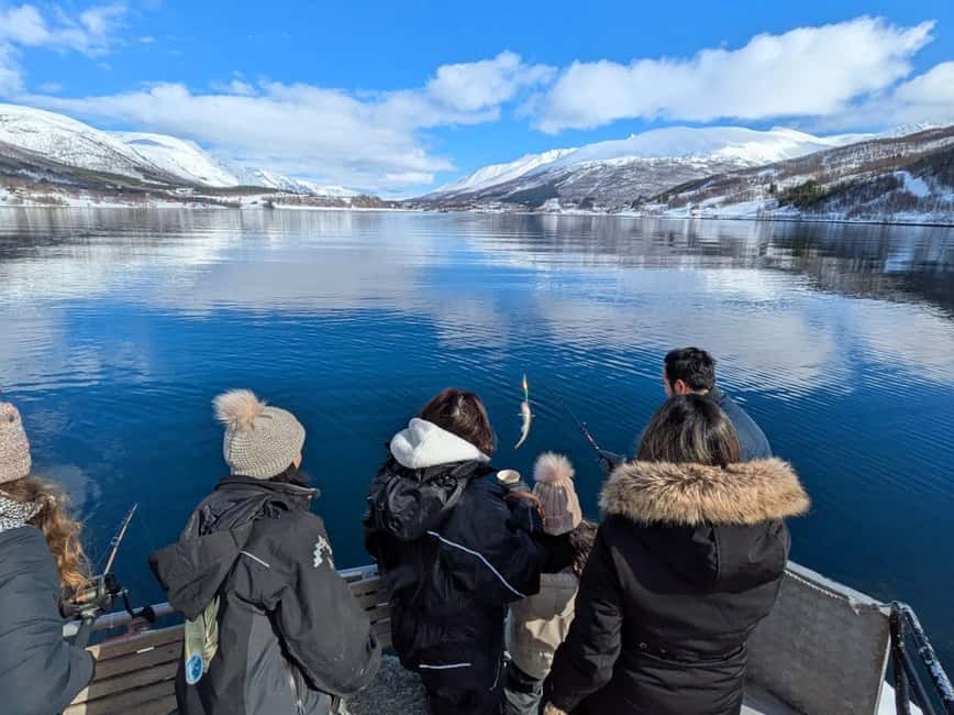 Tromsø: Arctic Fjord Cruise & Fishing Experience - Key points to know before booking