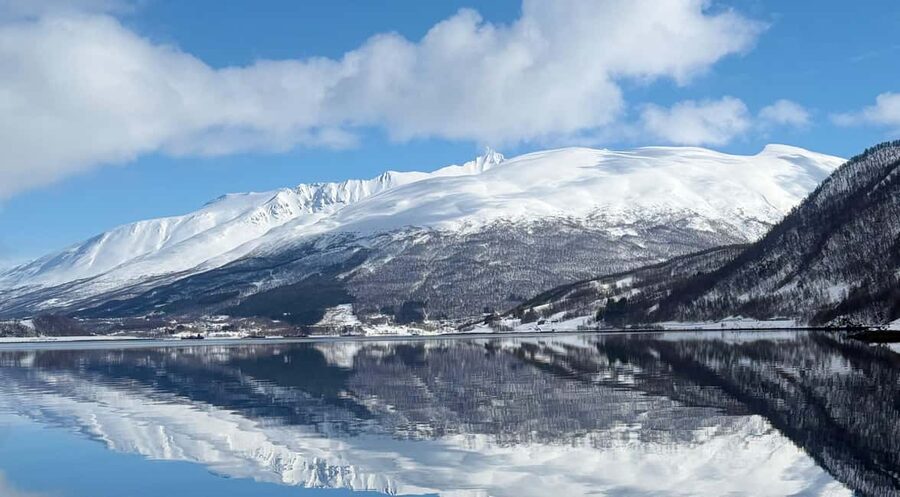 Tromsø: Arctic Fjord Cruise & Fishing Experience - Why this cruise is more than a fjord photo stop