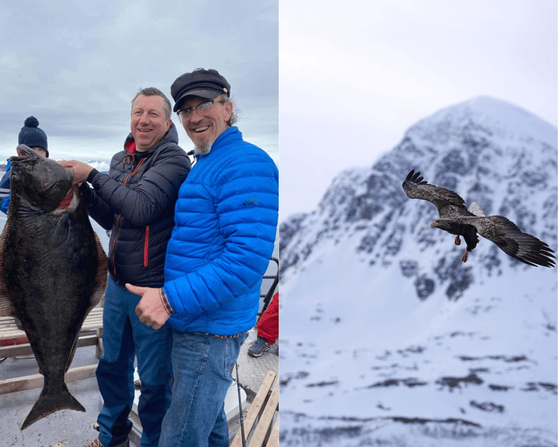 Tromsø: Arctic Fjord Cruise & Fishing Experience - Scenic views, changing light, and the return to Tromsø