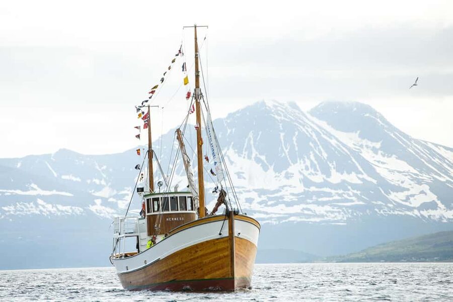 Tromsø: Fishing & Fjord Cruise - Is $198 per person good value?