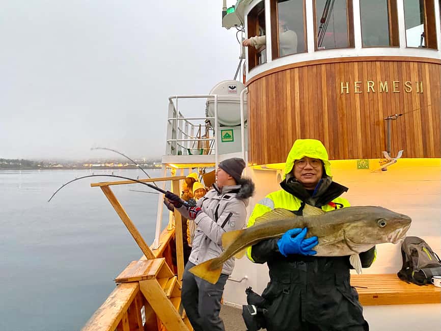 Tromsø: Fishing & Fjord Cruise - Fishing the fjords, one spot at a time