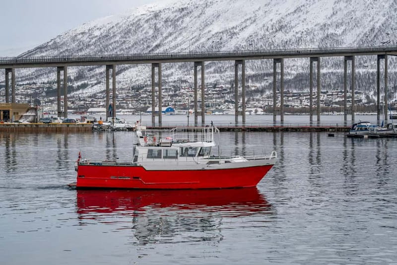 Tromsø: Fishing Sea Safari - Quick facts about the Tromsø Fishing Sea Safari