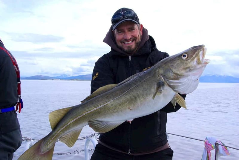 Tromsø: Fishing Sea Safari - Soup, hot drinks, and the catch of the day