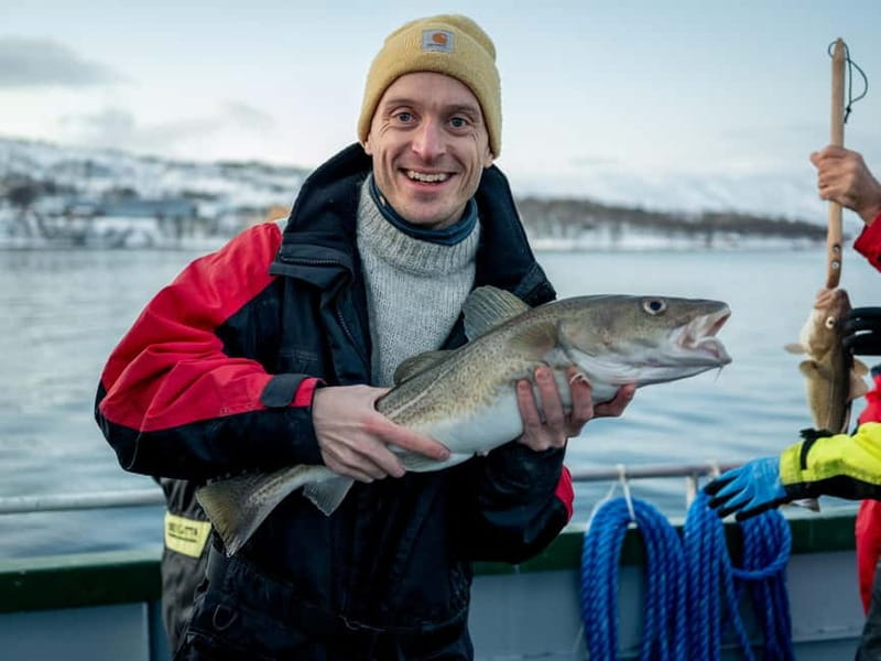 Tromsø: Fishing Sea Safari - Practical tips before you book
