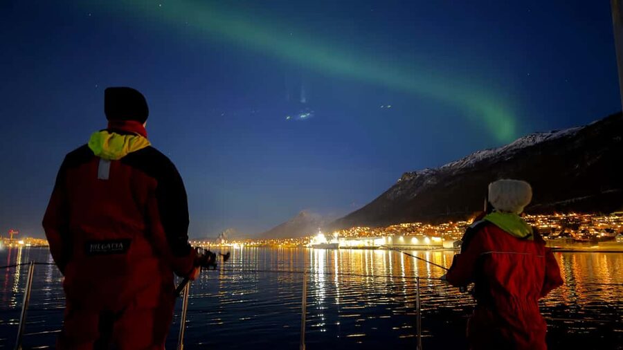 Tromsø: Nocturnal cod fishing with meal. - Who will enjoy this three-hour outing