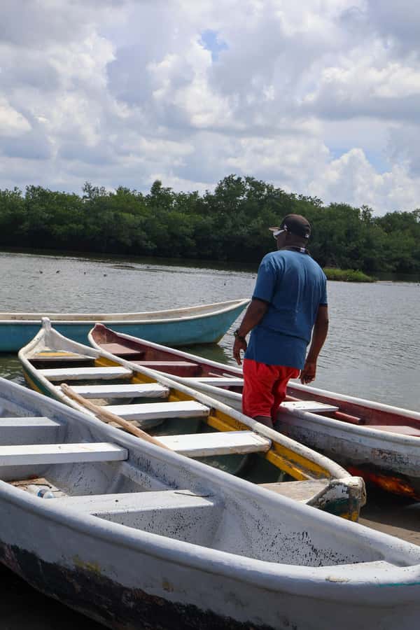 Typical lunch on beach, mangrove tour & fishing with natives - Guides who shape the experience