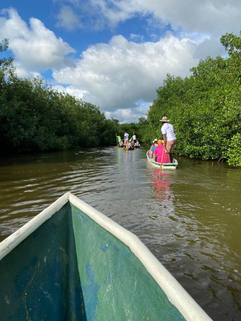 Typical lunch on beach, mangrove tour & fishing with natives - Who should book this experience