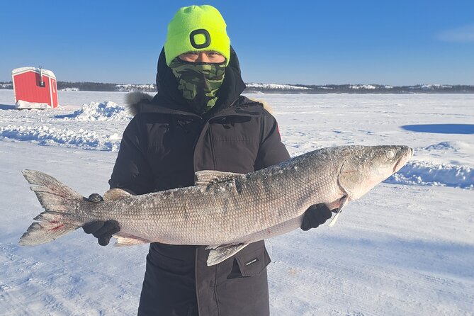 Ultimate Ice Fishing with Lunch - Leaving Yellowknife for the frozen lake
