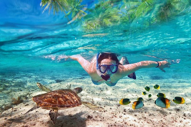 V.I.P Snorkeling & Fishing Tour ( Speed Boat ) Minimum 02 people - Key things to know before booking