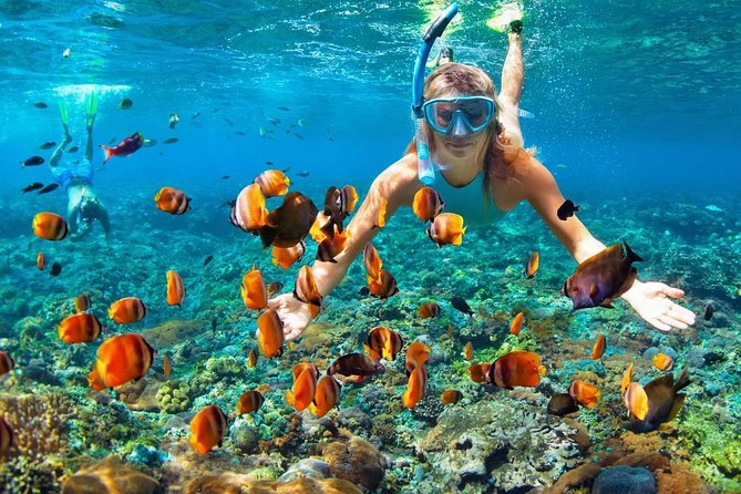 V.I.P Snorkeling & Fishing Tour ( Speed Boat ) Minimum 02 people - The guide and crew can shape the day