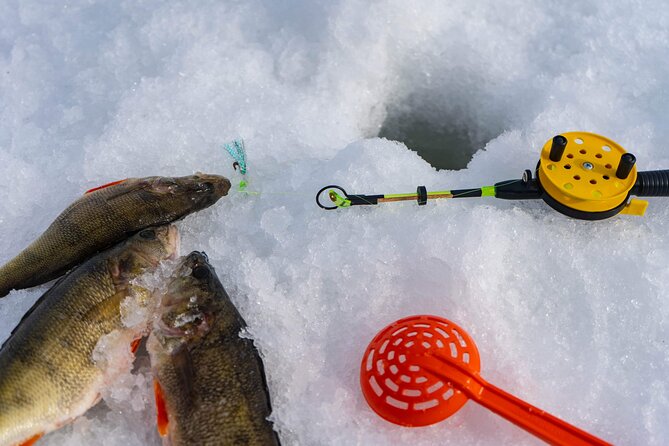 VIP Ice Fishing "ICEBREAKER" Lunch in Glass Igloo - Who will enjoy this most?