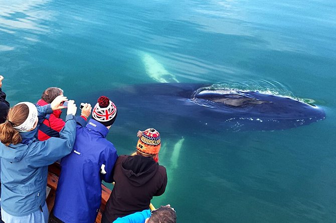 Whale Watching and Sea Angling Tour - Warm overalls, coffee, hot chocolate, and cookies