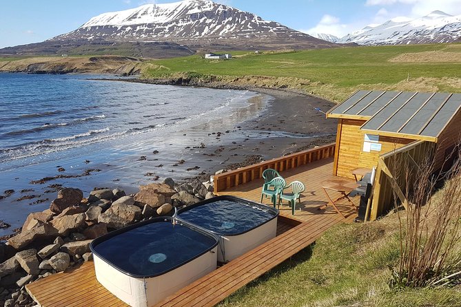 Whale Watching and Sea Angling Tour - Is $100 a fair price?