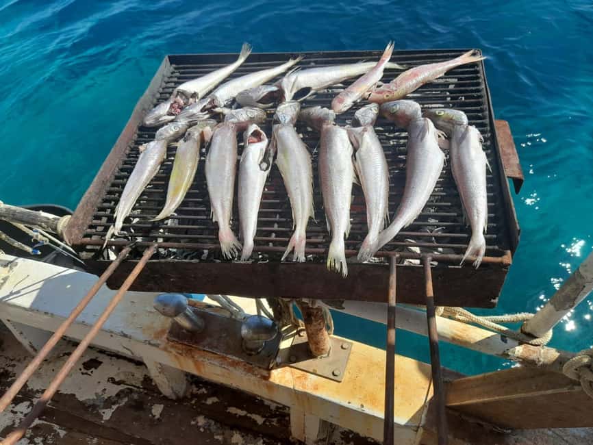 Zadar: Fishing Boat Trip with Lunch and Swimming Included - The fishing net and the catch that becomes lunch